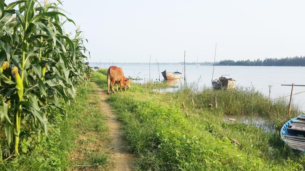 Riverside Hamlet Homestay & Villa Хоян Екстер'єр фото